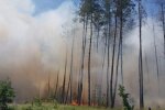 Очередной акт экоцида: более 100 га в неделю – таковы масштабы уничтожения леса россиянами на Лиманском направлении