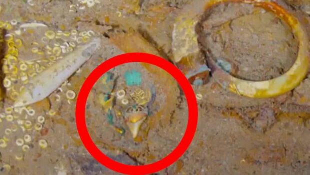 Ожерелье было найдено среди других золотых монет