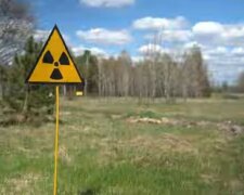 Чернобыльская зона. Фото: скриншот Youtube-видео