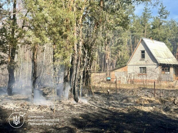 Держекоінспекція активно проводить заходи щодо профілактики пожеж в екосистемах України