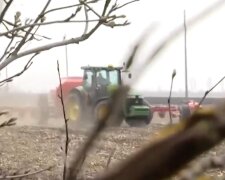 Как бесснежная зима повлияет на урожай. Фото: скриншот Youtube-видео