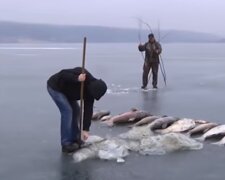 Рибне браконьєртво.Фото: скріншот YouTube-відео