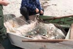 незаконный лов рыбы