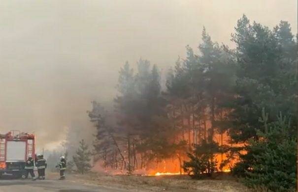 Пожары на Лугащине возникли в результате поджога. Фото: скриншот Youtube-видео