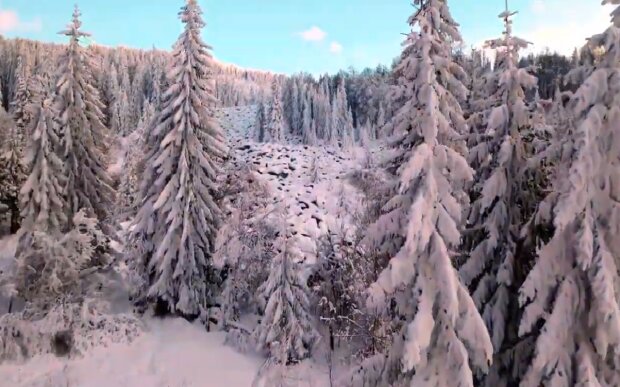 Синоптики рассказали, когда в Украину придет настоящая зима. Фото: скриншот YouTube-видео