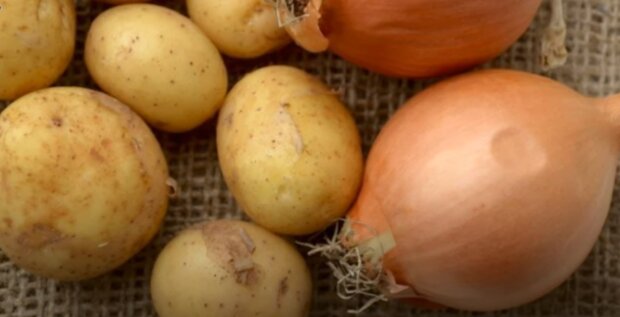 Картопля та цибуля: скрін з відео