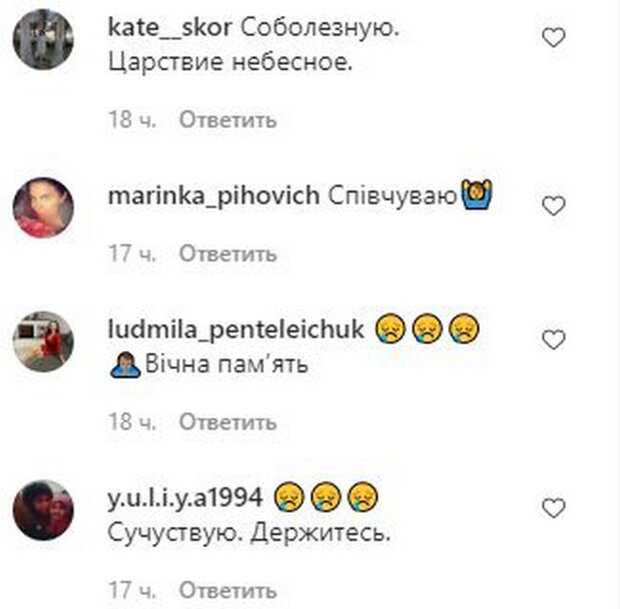Комментарии. Фото: скриншот instagram.com/alina_grosu/