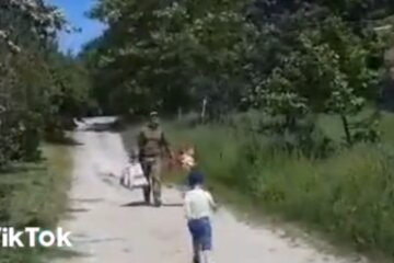 Папа вернулся с передовой на день