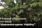 Госэкоинспекция призывает поддержать важную эко-акцию "Шевченко объединяет Украину": высадка дубов в национальных парках и заповедниках