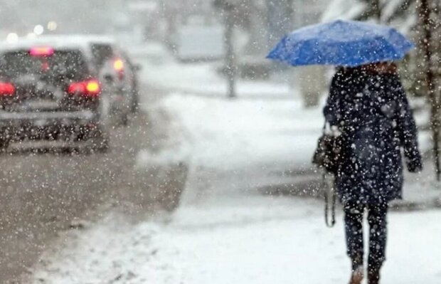 Выходные 29-30 января в Украине пройдут со снегом и сильным ветром - прогноз погоды