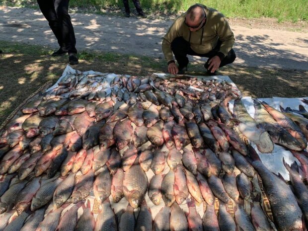 незаконний вилов риби