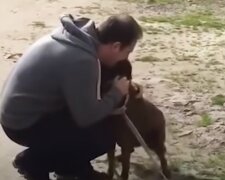 Человек и собака: скрин с видео