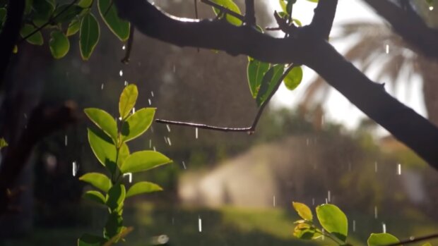 Дожди. Фото: скриншот YouTube-видео