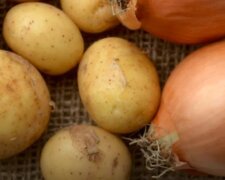 Картошка и лук: скрин с видео