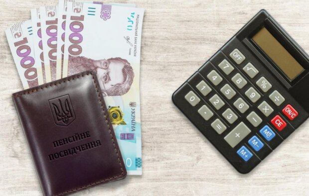 Пенсії в Україні: скрін із мережі