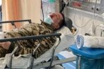 чеченець побив українського військового