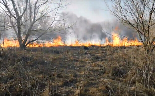 Возгорание травы. Фото: скриншот YouTube-видео.