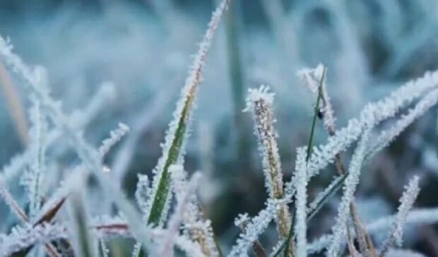 Ночные заморозки. Фото: скриншот Youtube-видео