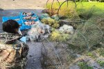 Держекоінспекція присікла браконʼєрську діяльність: засоби лову вилучено