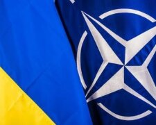 Украина-НАТО. Фото: скриншот YouTube.