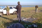 незаконний вилов риби