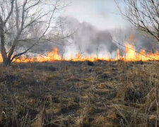 Возгорание травы. Фото: скриншот YouTube-видео.