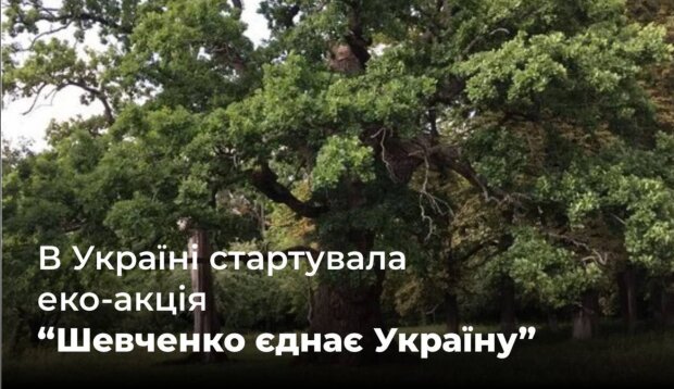 Госэкоинспекция призывает поддержать важную эко-акцию "Шевченко объединяет Украину": высадка дубов в национальных парках и заповедниках