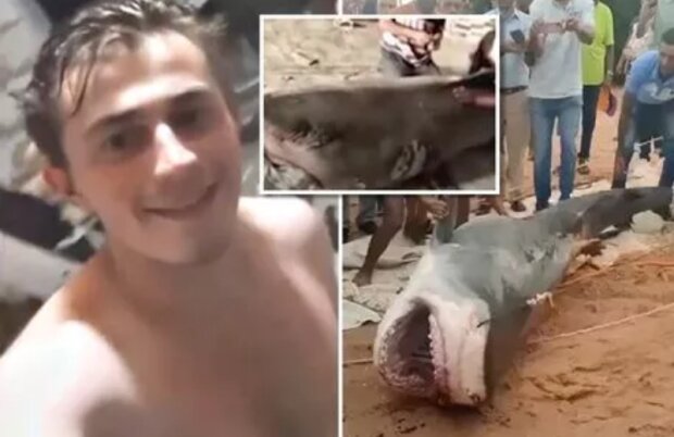 Акула, которая съела россиянина, была поймана