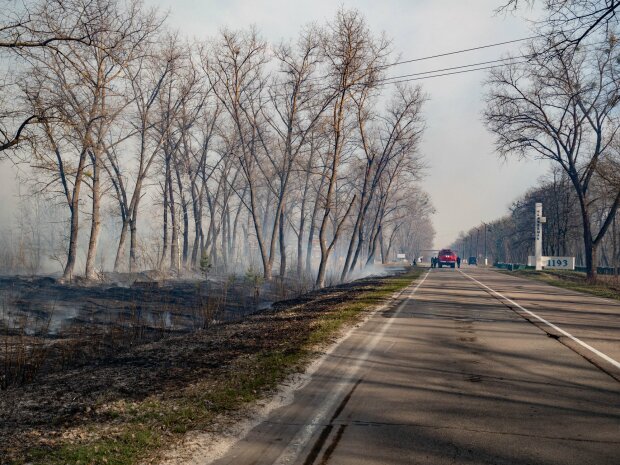 Спасатели опубликовали видео пожара в Чернобыльских лесах изнутри