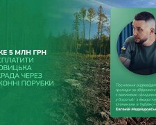 Держекоінспекція домоглася відшкодування 5 млн гривень від Дубровицької міськради