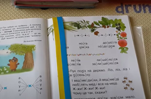 Школьный учебник.  Фото: скриншот YouTube-видео