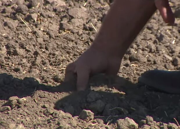 Засуха в Украине. Фото: скриншот YouTube-видео