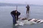 Рибне браконьєртво.Фото: скріншот YouTube-відео