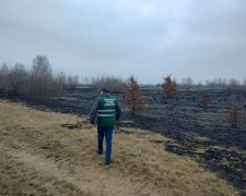 Пожежа на території озера Тягле: Держекоінспекція з'ясовує всі обставини НП