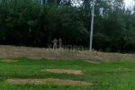 шесть военкомов гнались с мужем, чтобы выписать повестку