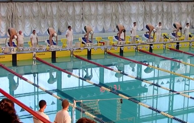 Чемпионат по плаванью.  Фото: скриншот YouTube-видео