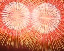 Допраздновались: новогодние фейерверки привели к катастрофе - экологи бьют тревогу