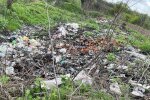 Держекоінспекція посилила боротьбу з незаконними сміттєзвалищами