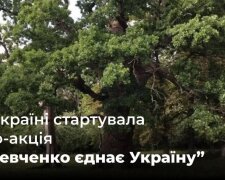 Держекоінспекція закликає підтримати важливу еко-акцію "Шевченко єднає Україну": висадження дубів у національних парках та заповідниках