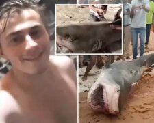 Акула, яка з'їла росіянина, була спіймана