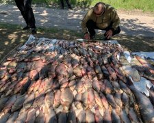 незаконный лов рыбы