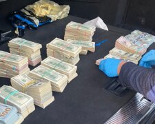 У машині митника Михайла Бурдейного знайшли 700 тисяч доларів: слідчі закрили справу, а суд його відпустив