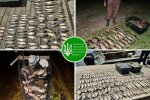 Понад чотири десятки порушень: Держекоінспекція провела рейди у столичному регіоні