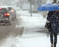 Выходные 29-30 января в Украине пройдут со снегом и сильным ветром - прогноз погоды