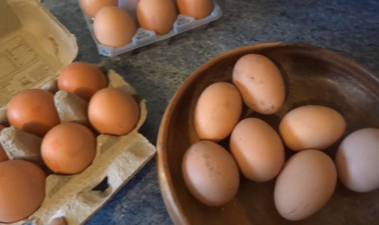 Какие яйца лучше купить. Домашние яйца. Яйца магазинные. Домашнее яйцо и магазинное. Яйца куриные Деревенские.