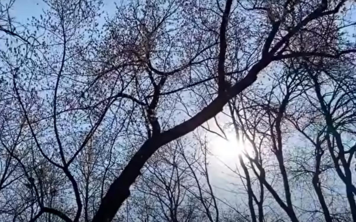 Погода сошла с ума картинки